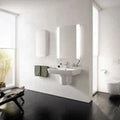 TOTO NC Series washbasin LW10021G